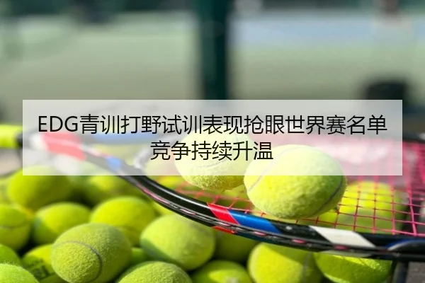 EDG青训打野试训表现抢眼世界赛名单竞争持续升温